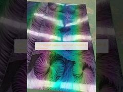 Folha de aço inoxidável revestida de cores, durável e decorativa.