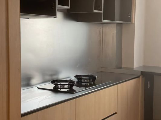 Stainless Steel Custom Housings Mesh & Filters