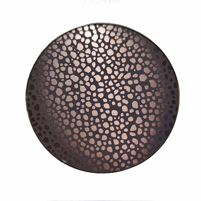 Chapa de painel gravada em aço inoxidável 10C com cor ouro rosa antigo para parede