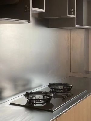 Stainless Steel Custom Housings Mesh & Filters