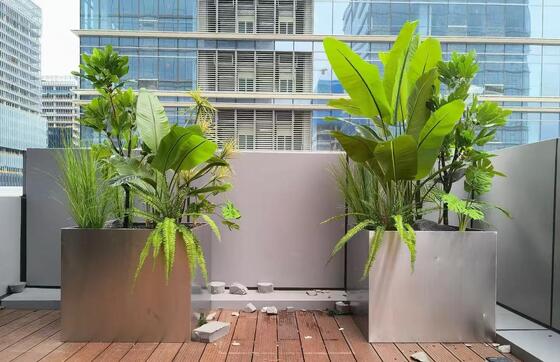 Bom preço Planta de enredos de aço inoxidável de hotel de luxo com opção de iluminação LED on-line